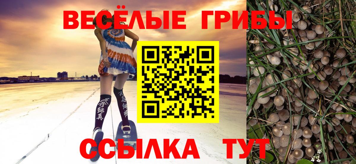 Галлюциногенные грибы Magic Shrooms  Вход с VPN  Псилоцибиновые грибы Psilocybine cubensis  Тимашёвск 